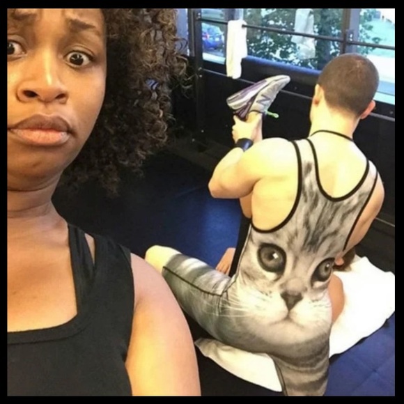 Funny Cat Photos! - Picture 13 of 15